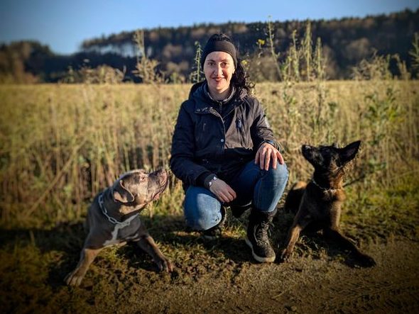 hundetraining-mit-hundeschule-vöcklabruck-im-bezirk-vöcklabruck